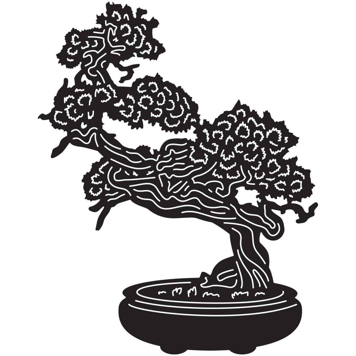 Bonsai Tree 21