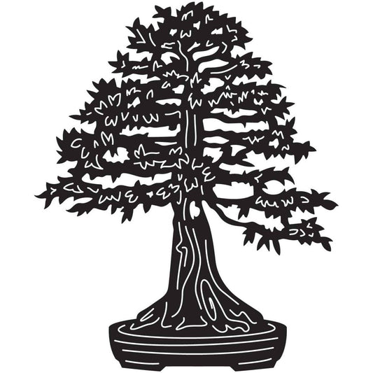 Bonsai Tree 24