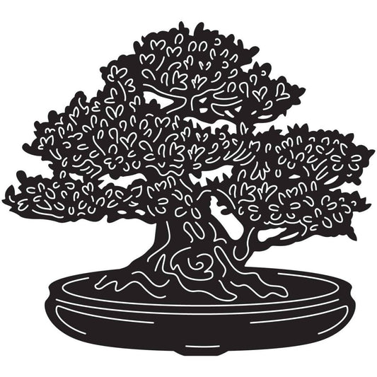 Bonsai Tree 25