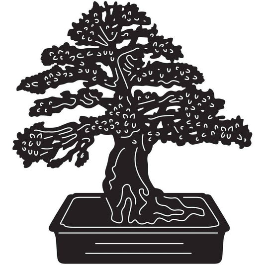 Bonsai Tree 27