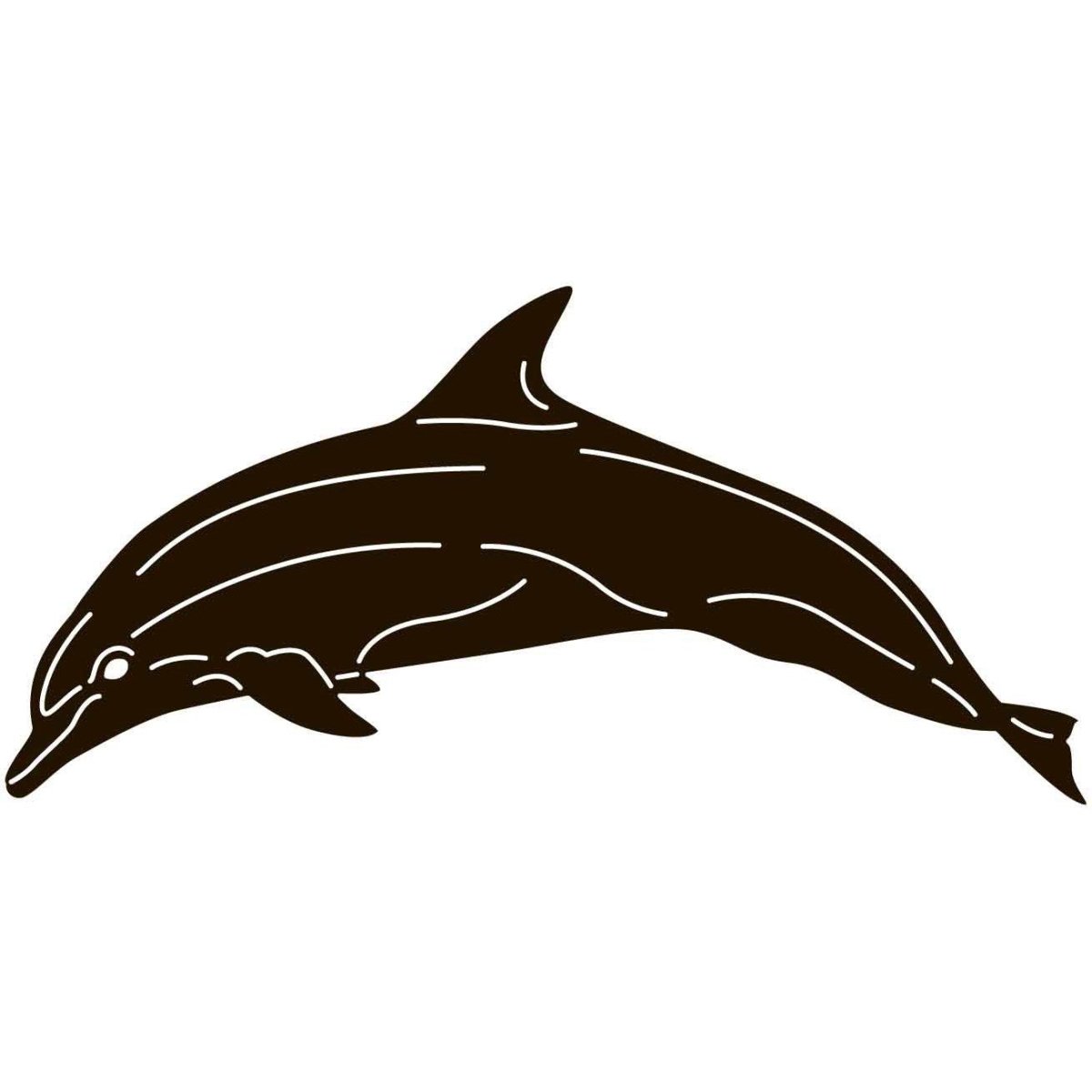 Bottlenose Dolphin 12