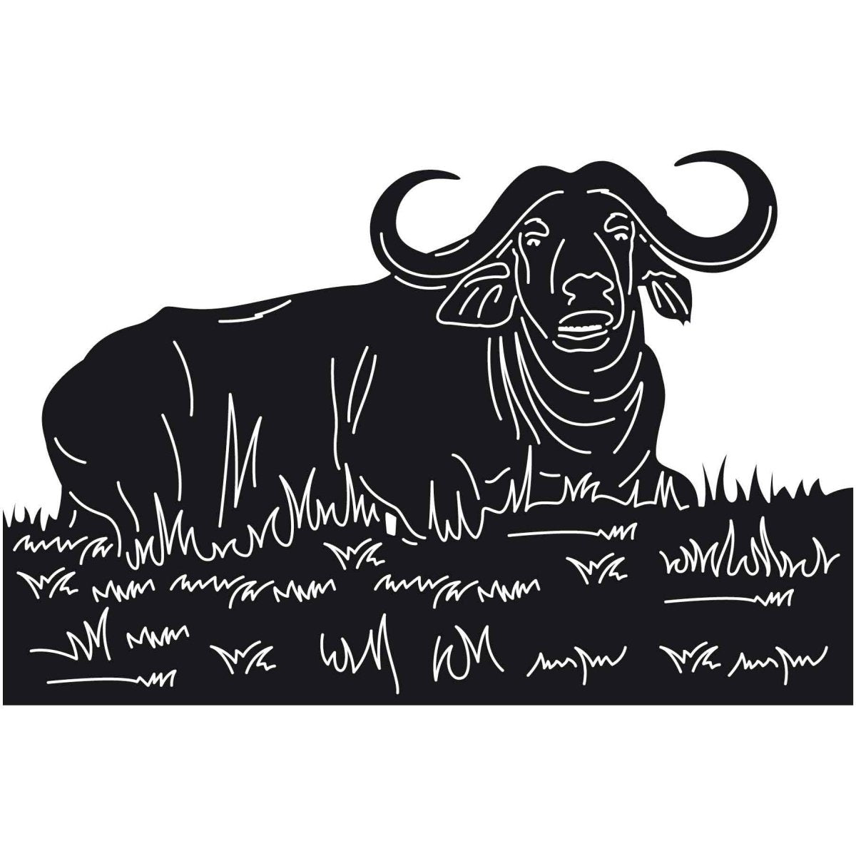 Buffalo African 11