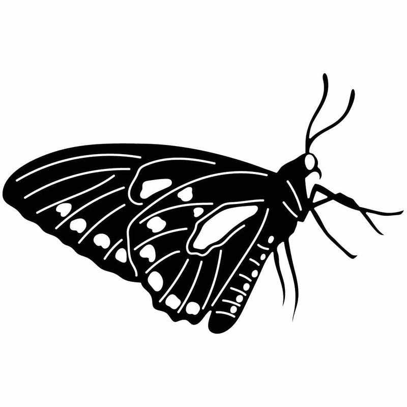 Butterfly Ornaments Decor Free-DXF files cut ready for CNC-DXFforCNC.com