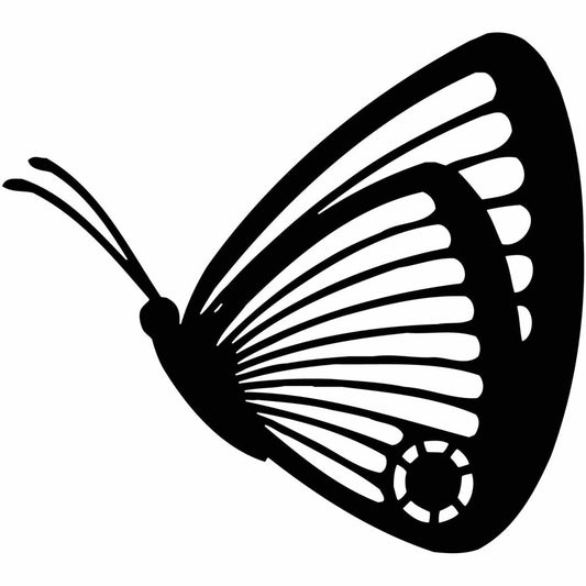 Butterfly Ornaments Decor-DXF files Cut Ready CNC Designs-dxfforcnc.com