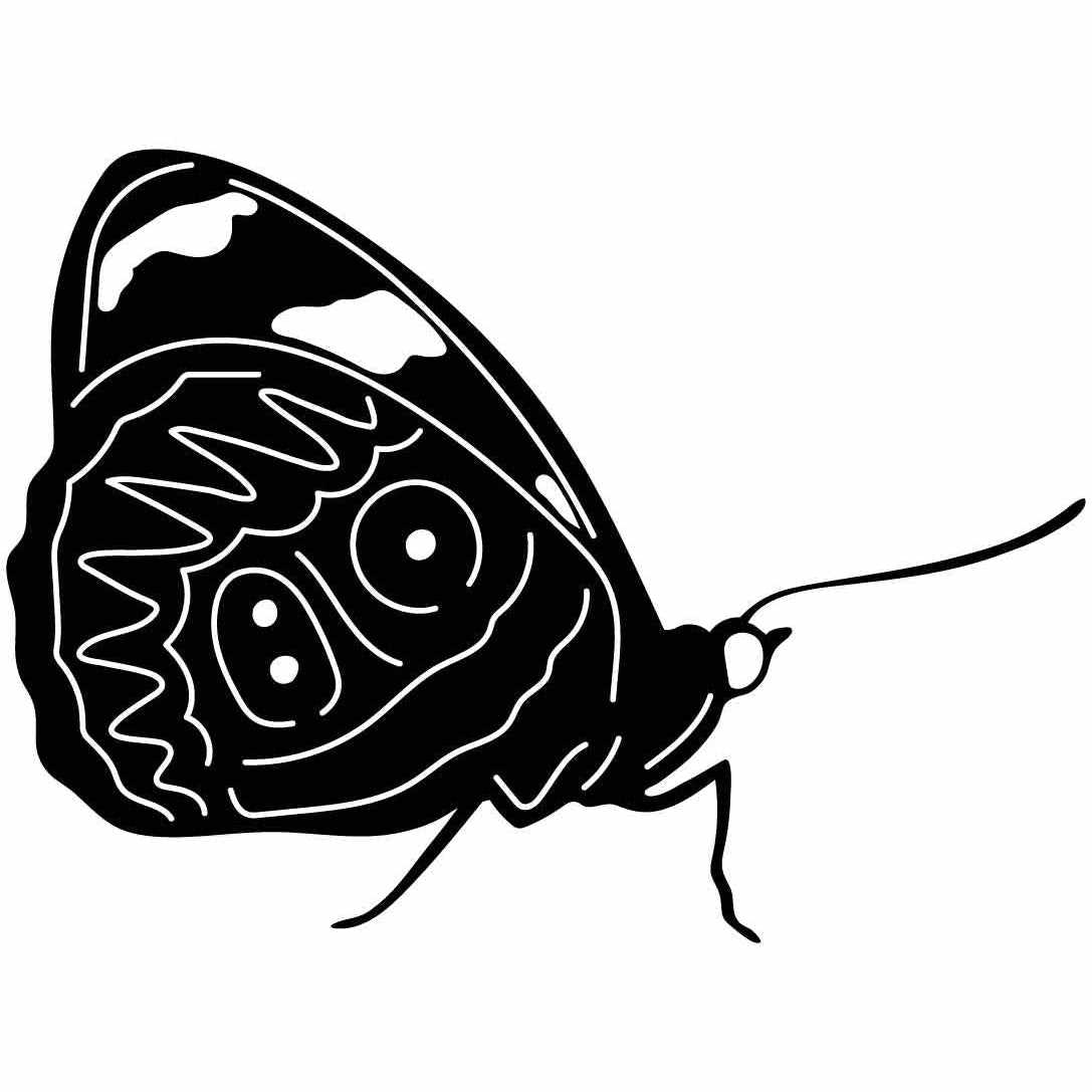 Butterfly Ornaments Decor Free-DXF files cut ready for CNC-DXFforCNC.com