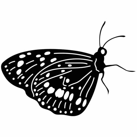 Butterfly Ornaments Decor Free-DXF files cut ready for CNC-DXFforCNC.com