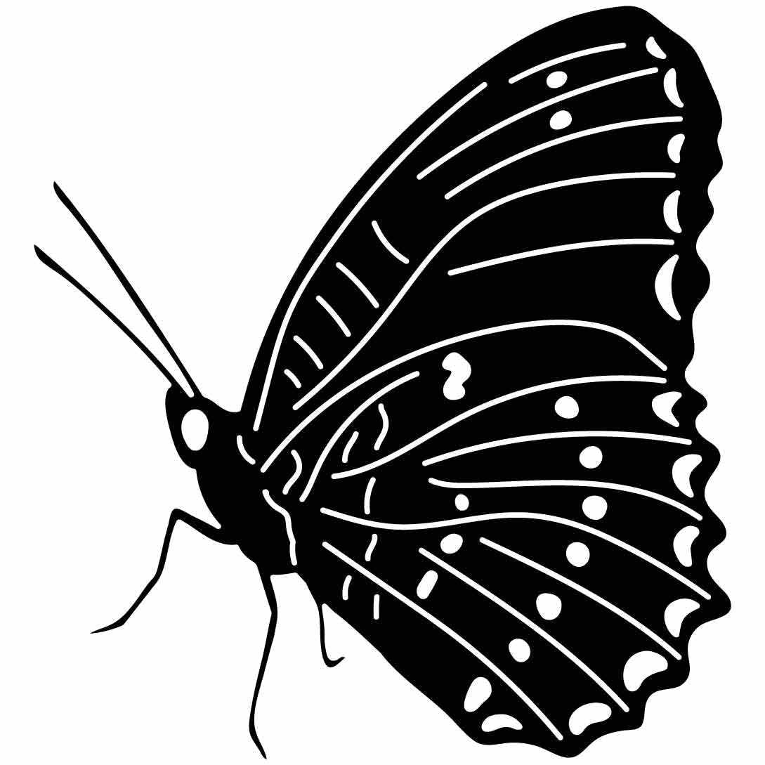 Butterfly Ornaments Decor Free-DXF files cut ready for CNC-DXFforCNC.com