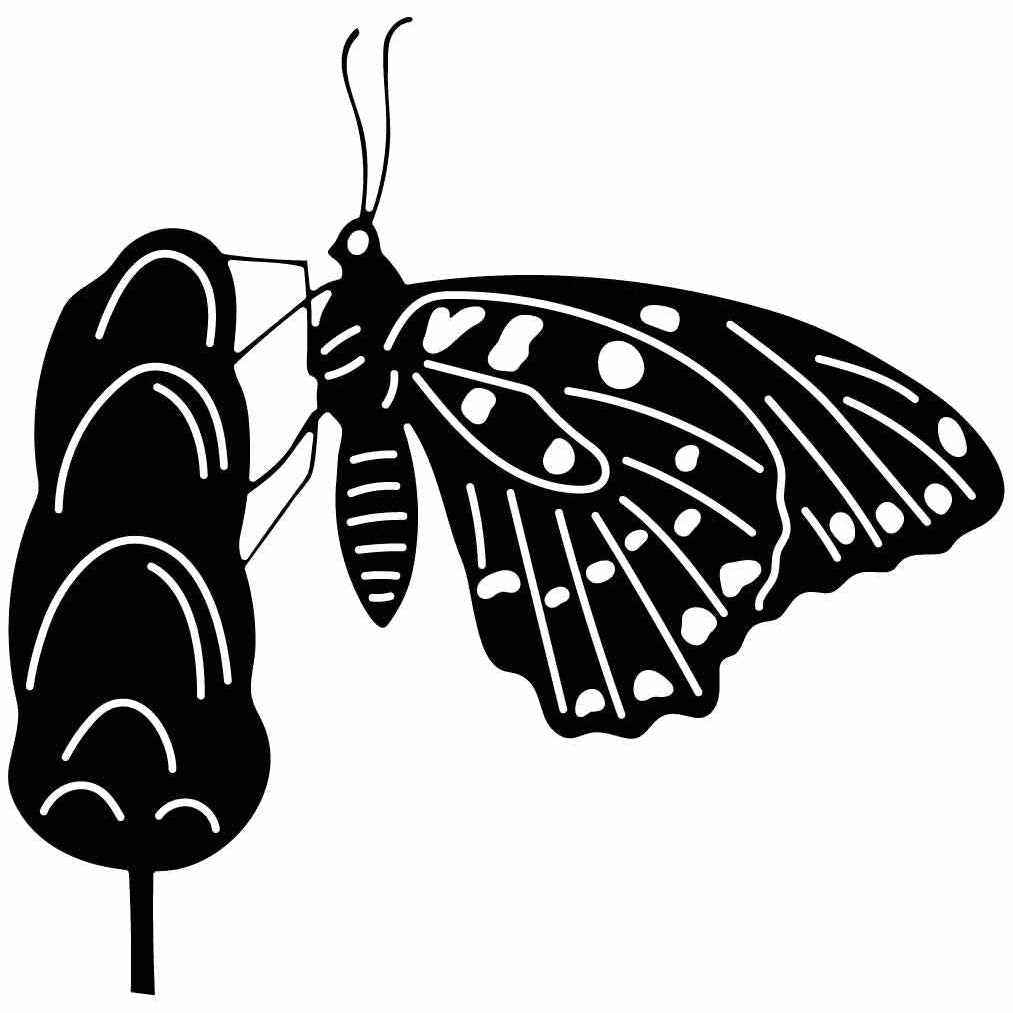 Butterfly Ornaments Decor Free-DXF files cut ready for CNC-DXFforCNC.com