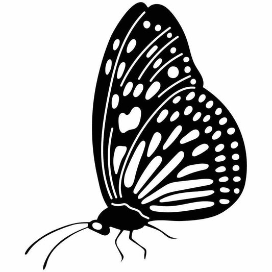 Butterfly Ornaments Decor Free-DXF files cut ready for CNC-DXFforCNC.com