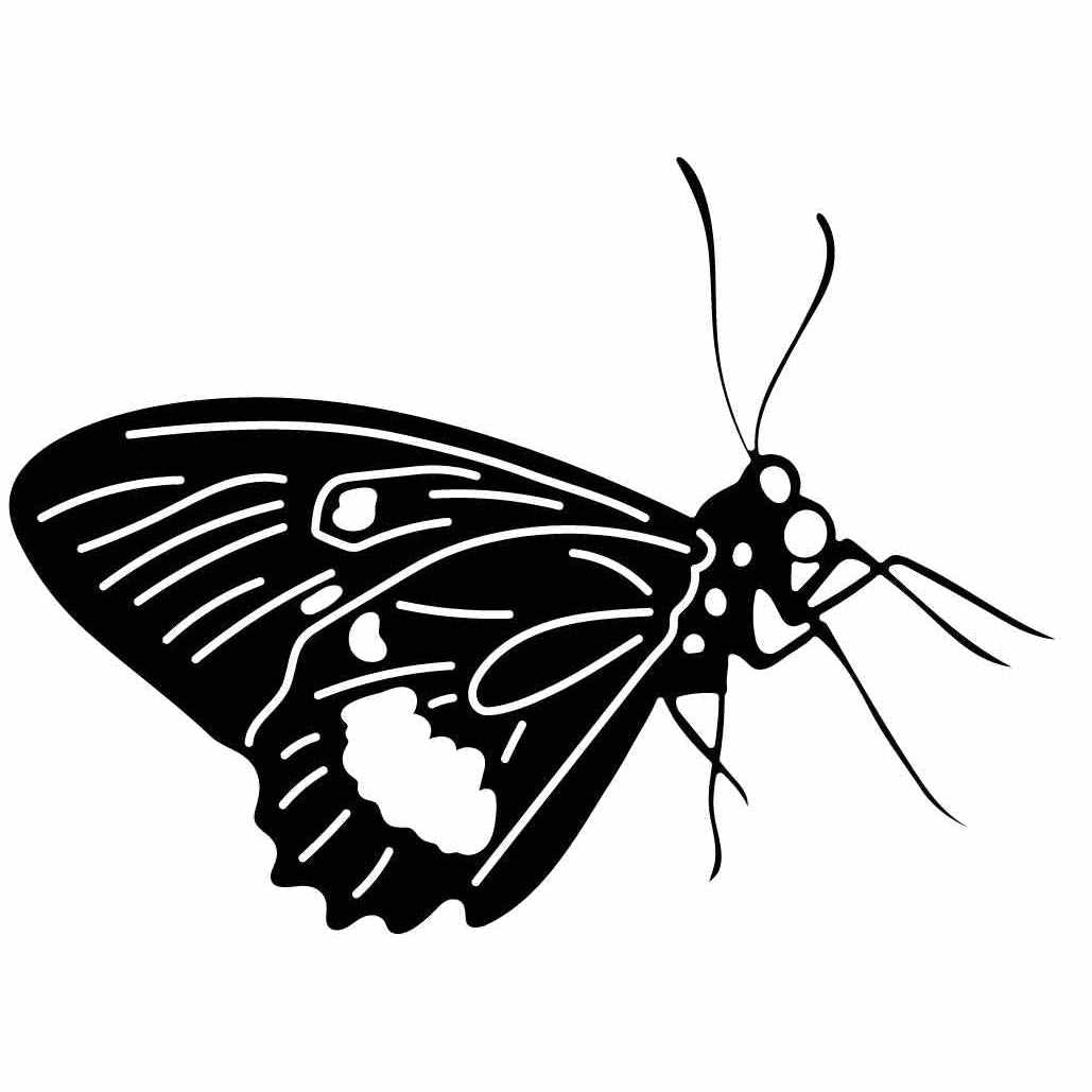 Butterfly Ornaments Decor Free-DXF files cut ready for CNC-DXFforCNC.com