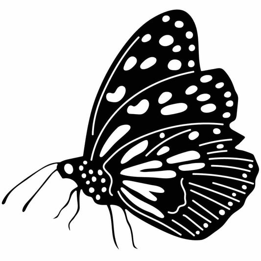 Butterfly Ornaments Decor Free-DXF files cut ready for CNC-DXFforCNC.com