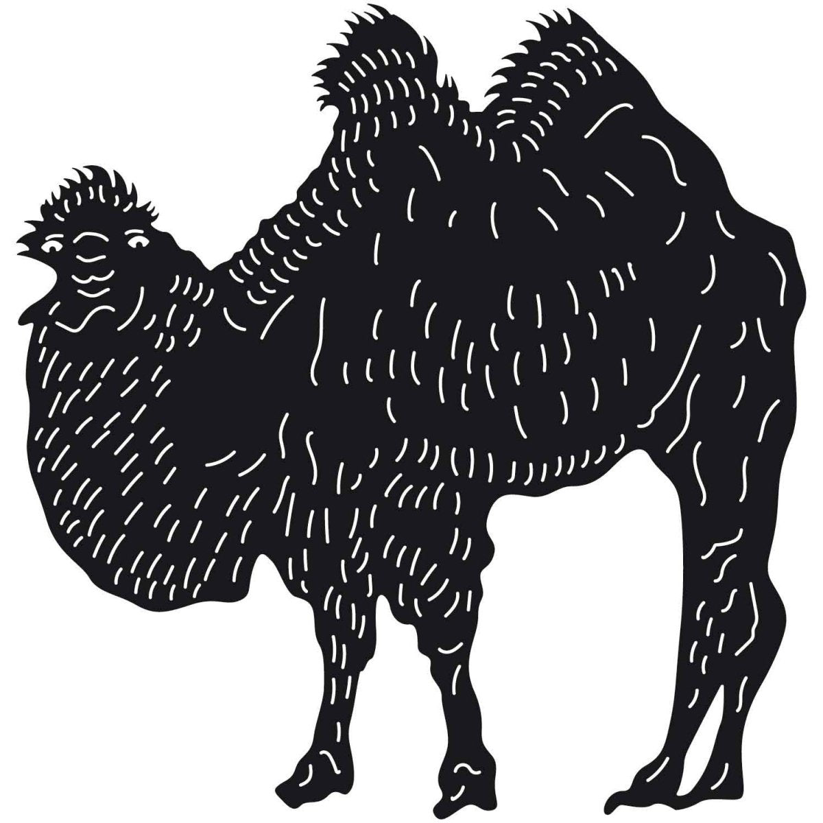 Camels 03