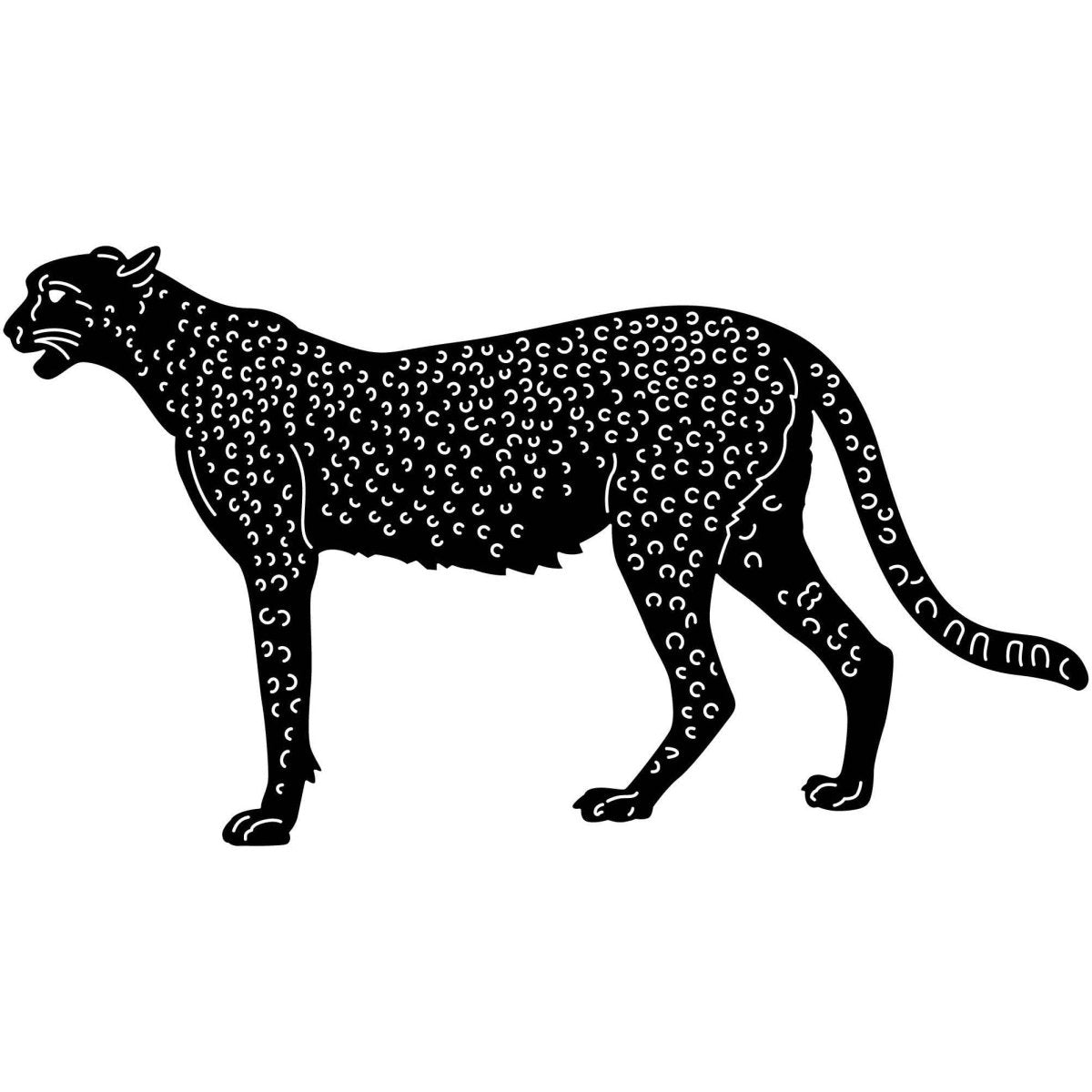 Cheetah 08