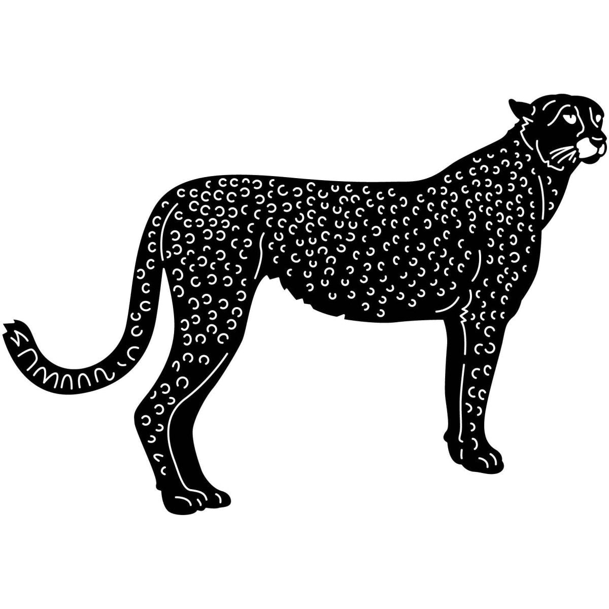 Cheetah 19