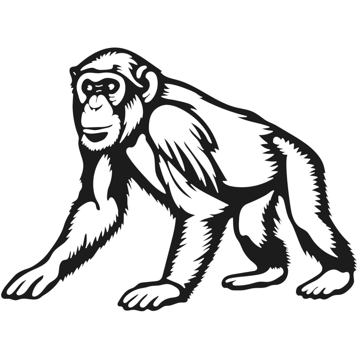 Chimpanzee 59