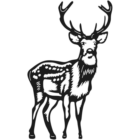 Deer Wild Animals 001