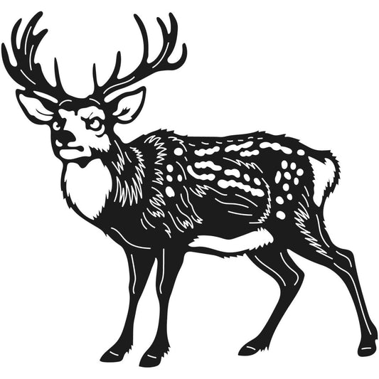 Deer Wild Animals 004