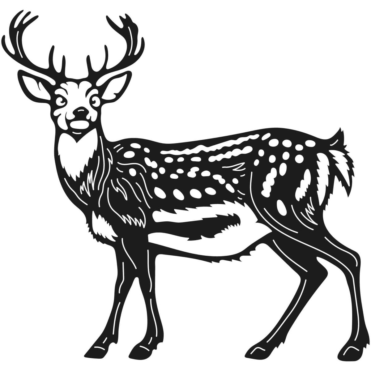 Deer Wild Animals 005