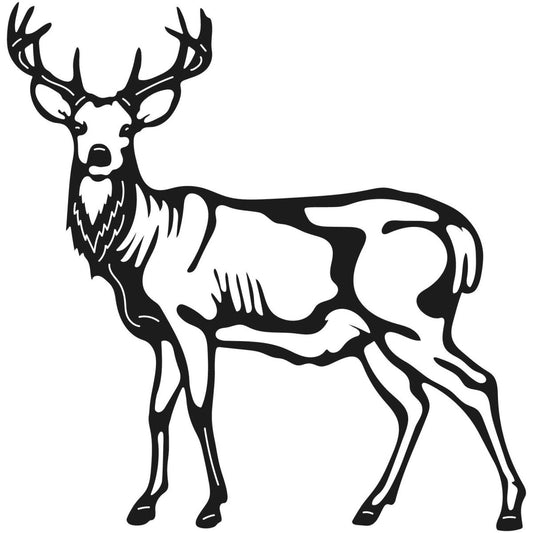 Deer Wild Animals 006