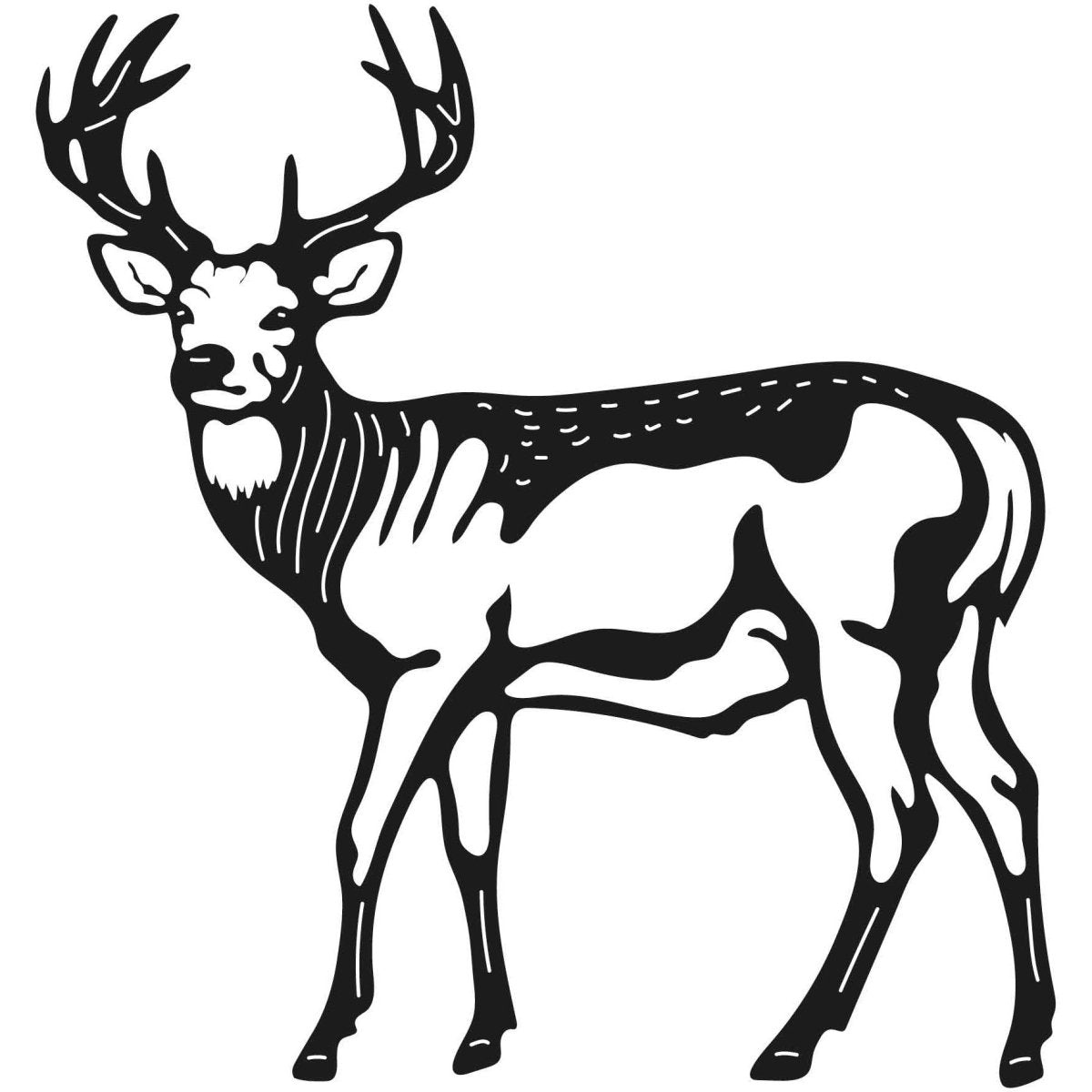 Deer Wild Animals 007