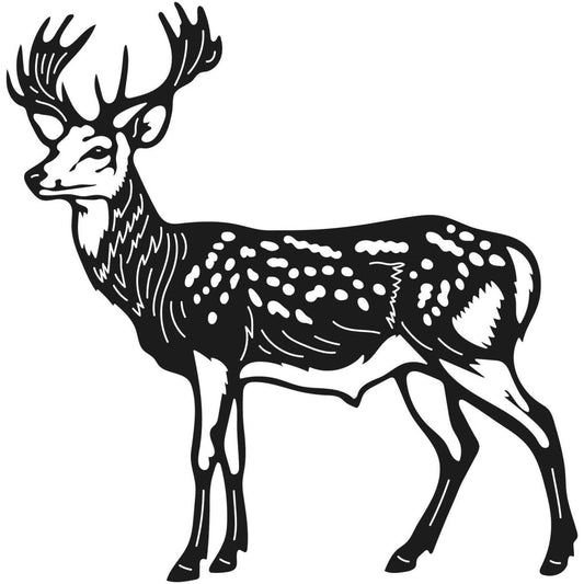 Deer Wild Animals 008