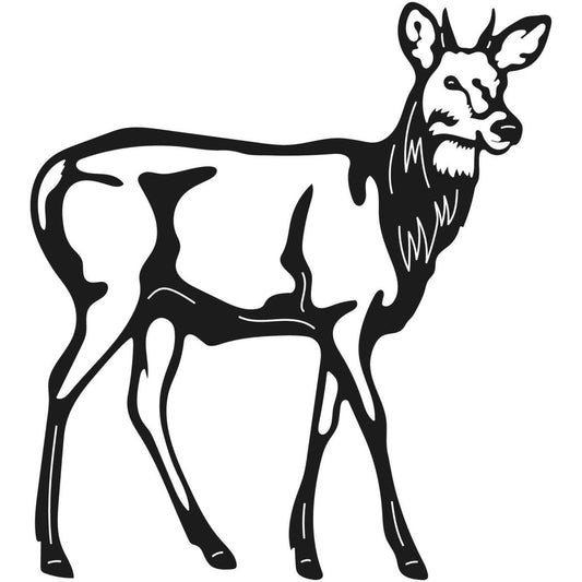 Deer Wild Animals 010