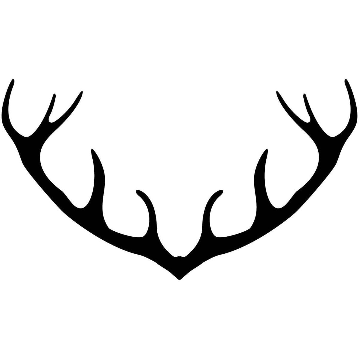 Deer and Moose Antlers 61