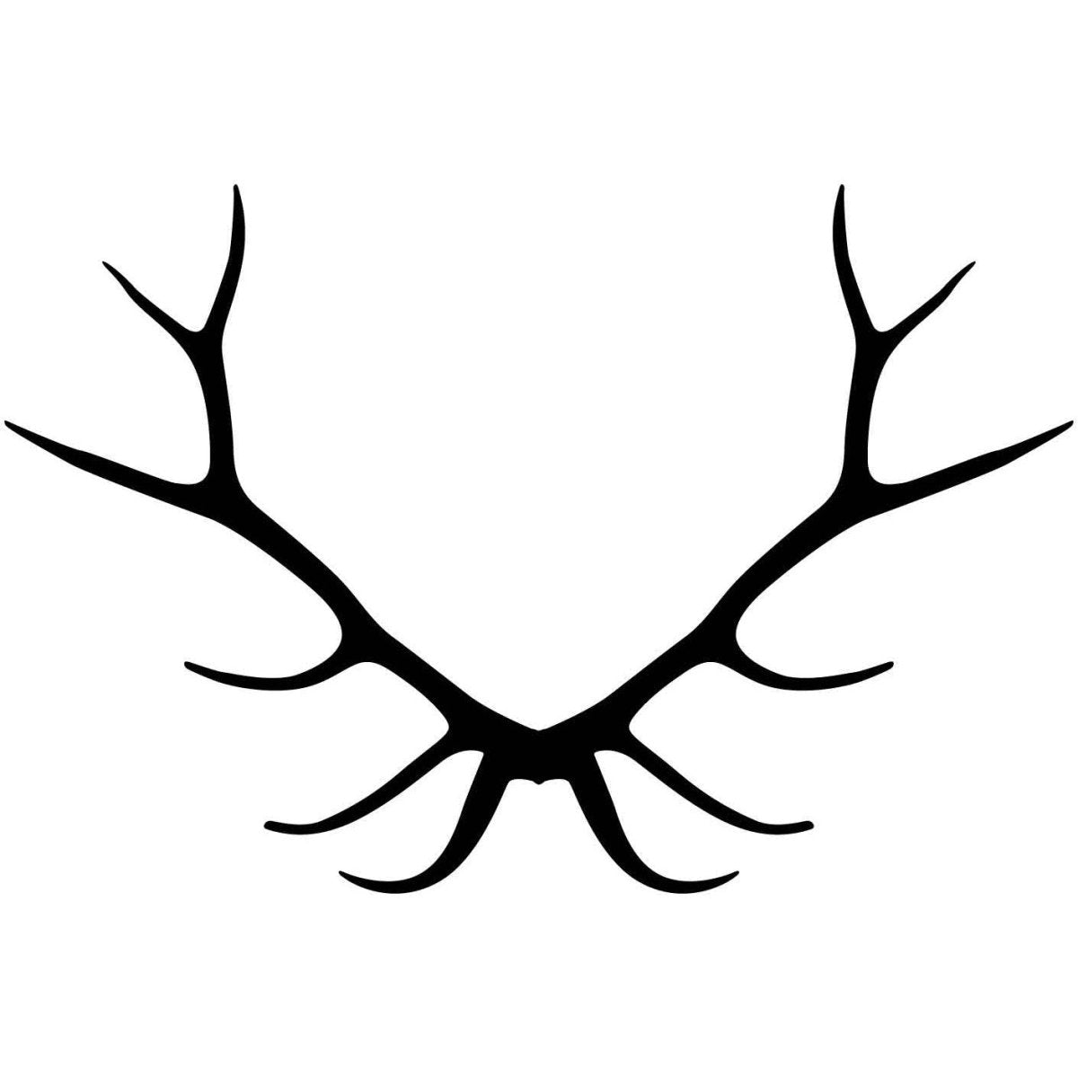 Deer and Moose Antlers 67