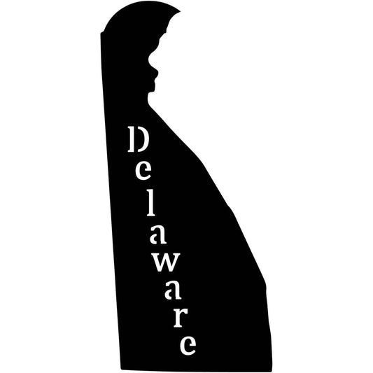 Delaware USA State Map