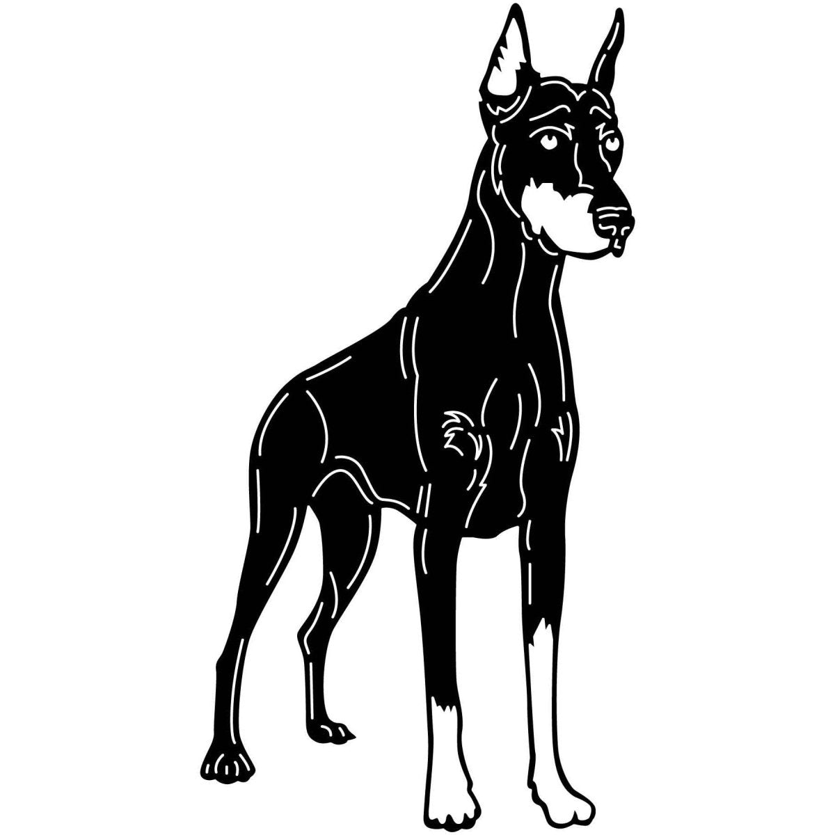 Doberman Pinscher Dogs 12