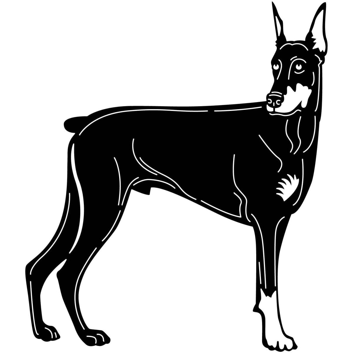 Doberman Pinscher Dogs 16