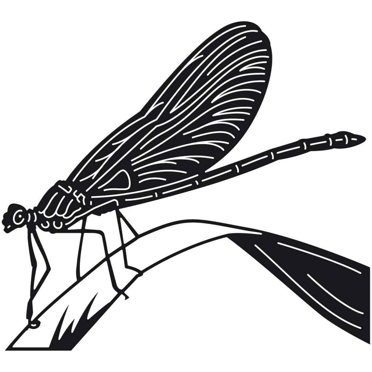 Dragonfly 03