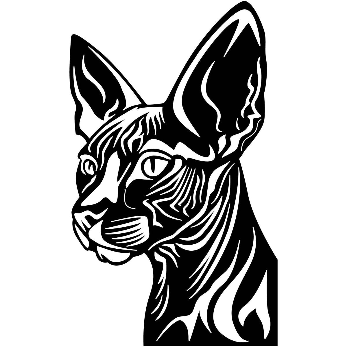 Egyptian Sphynx Cat 002