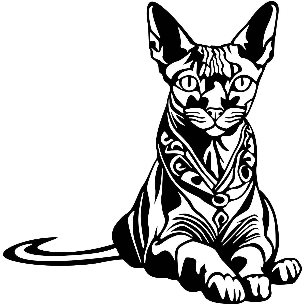 Egyptian Sphynx Cat 018