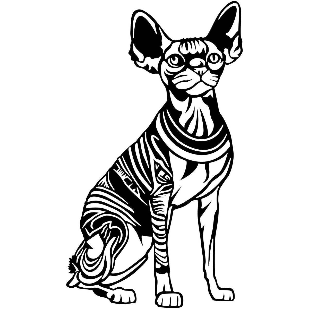 Egyptian Sphynx Cat 019