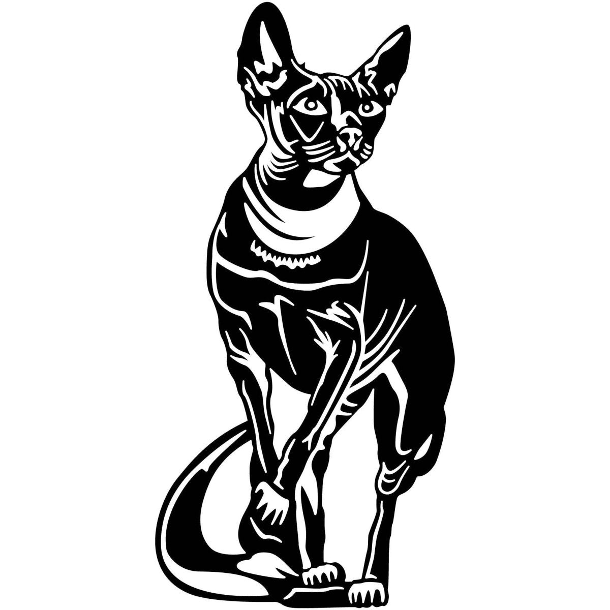 Egyptian Sphynx Cat 022