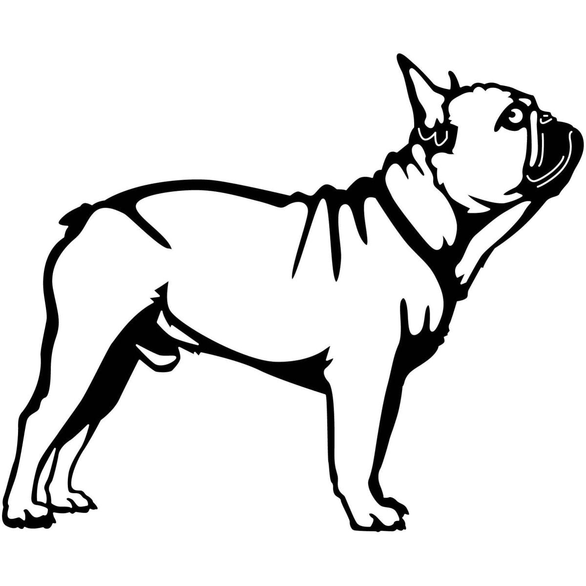 French Bulldogs 25