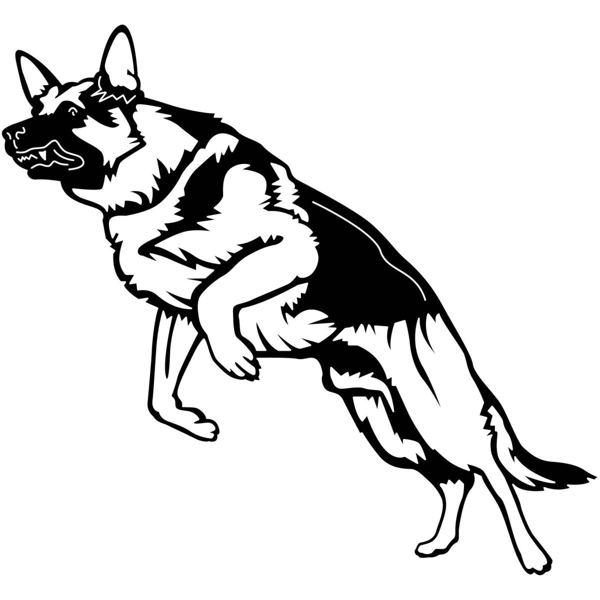 German Shepherds Dogs 25