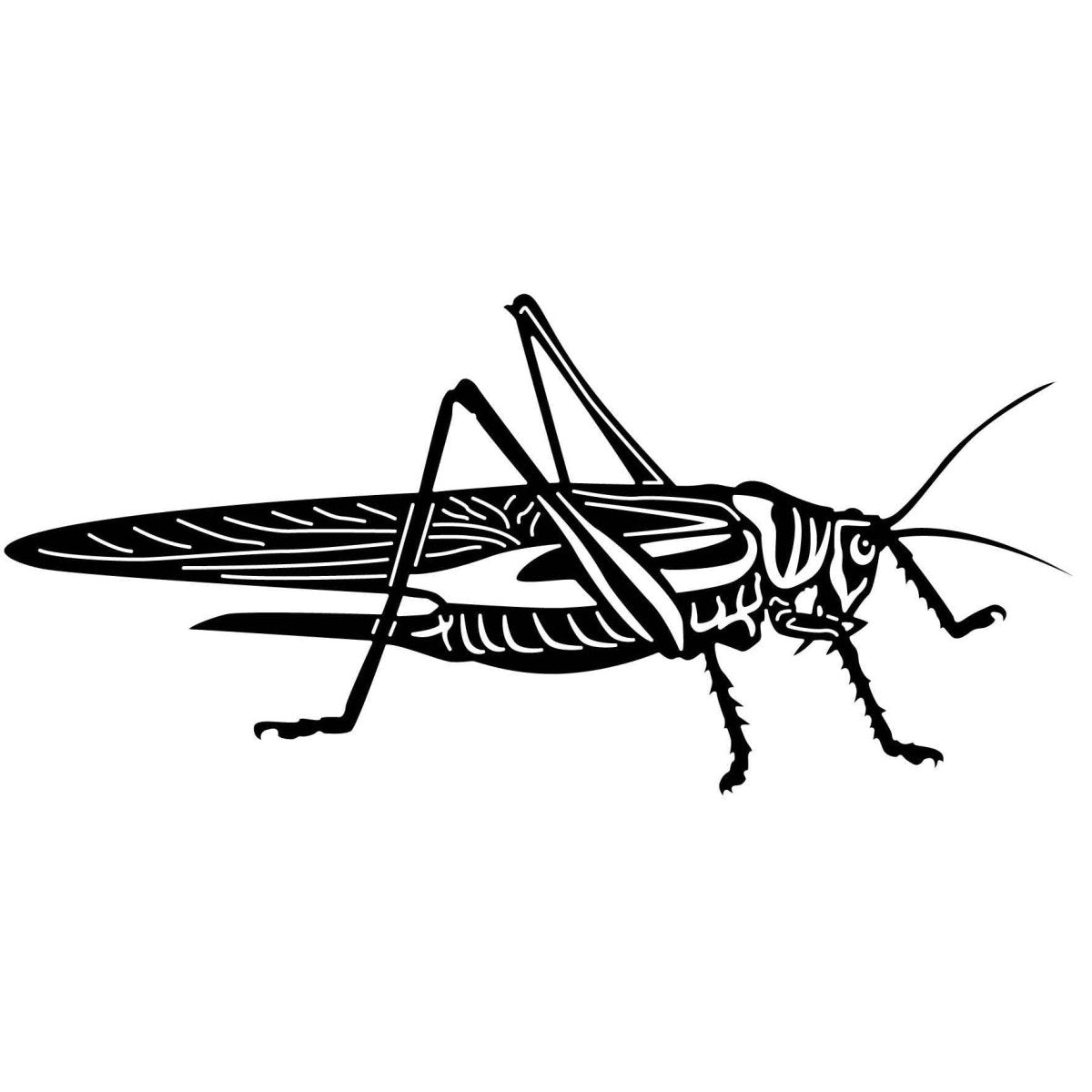 Grasshopper 02