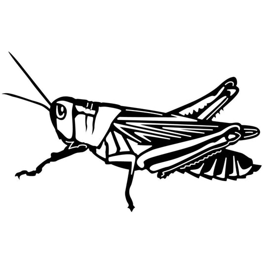 Grasshopper 04