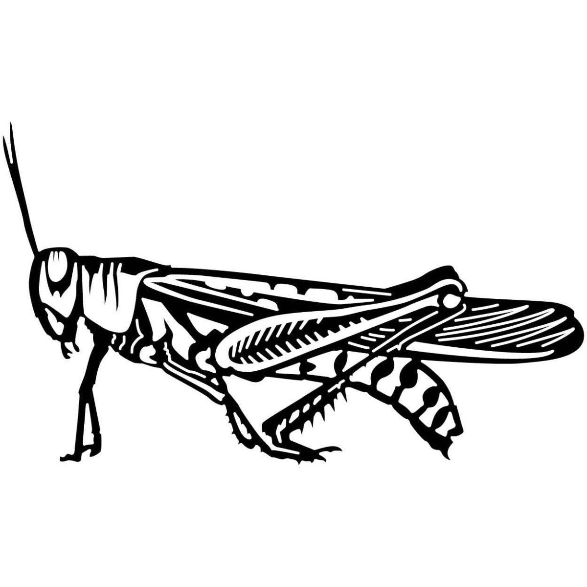 Grasshopper 06