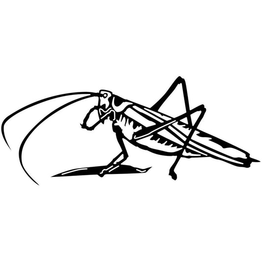 Grasshopper 07