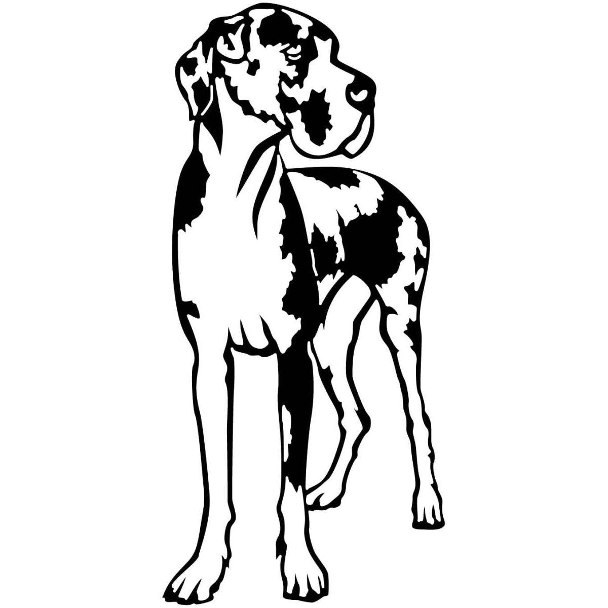 Great Dane Dogs 10