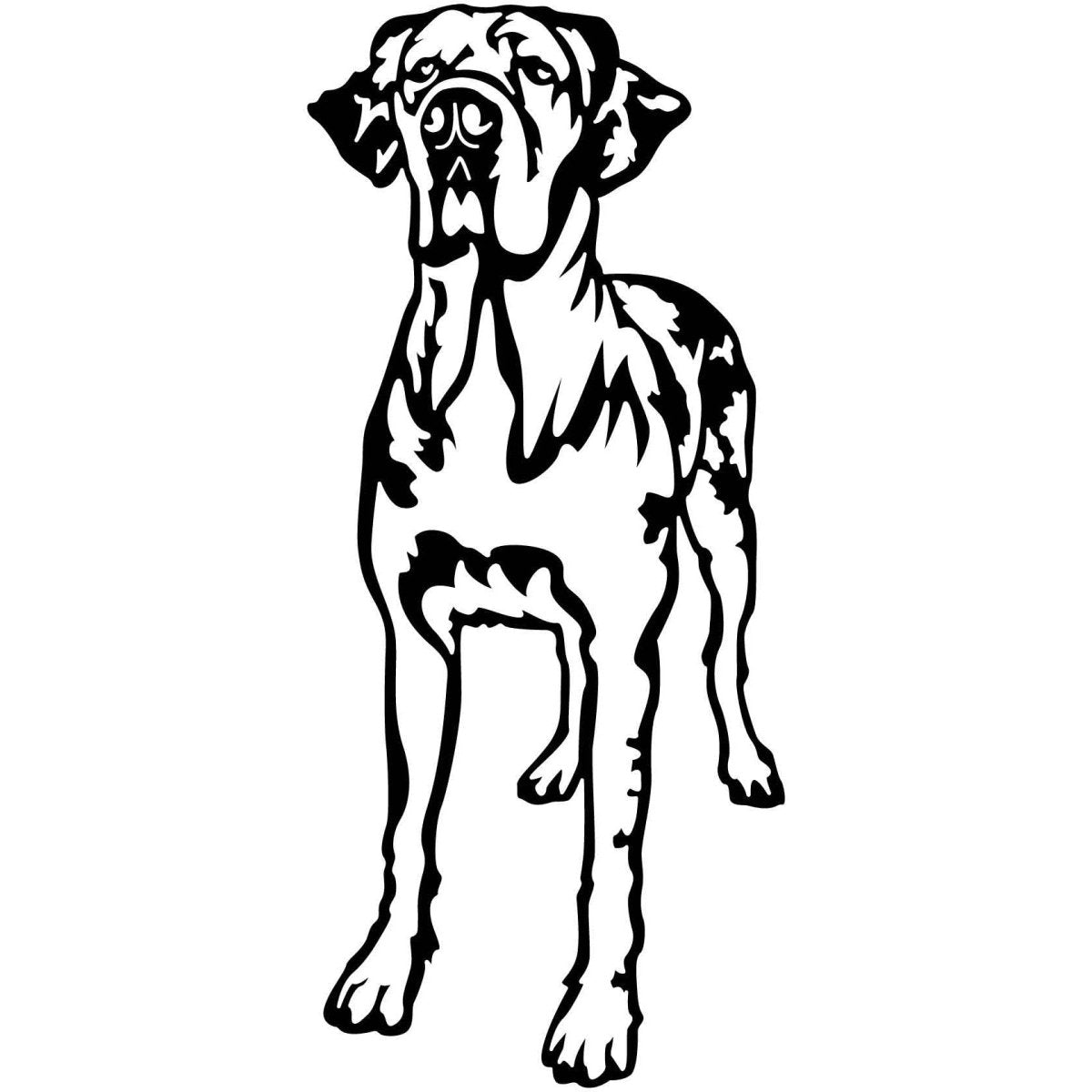 Great Dane Dogs 12