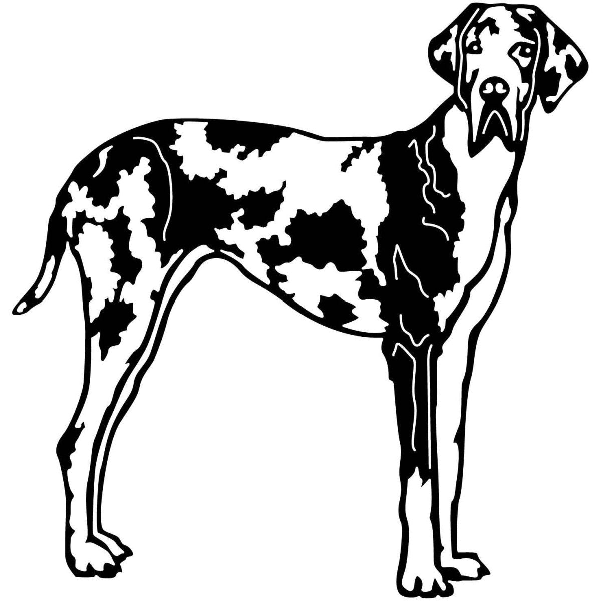 Great Dane Dogs 13