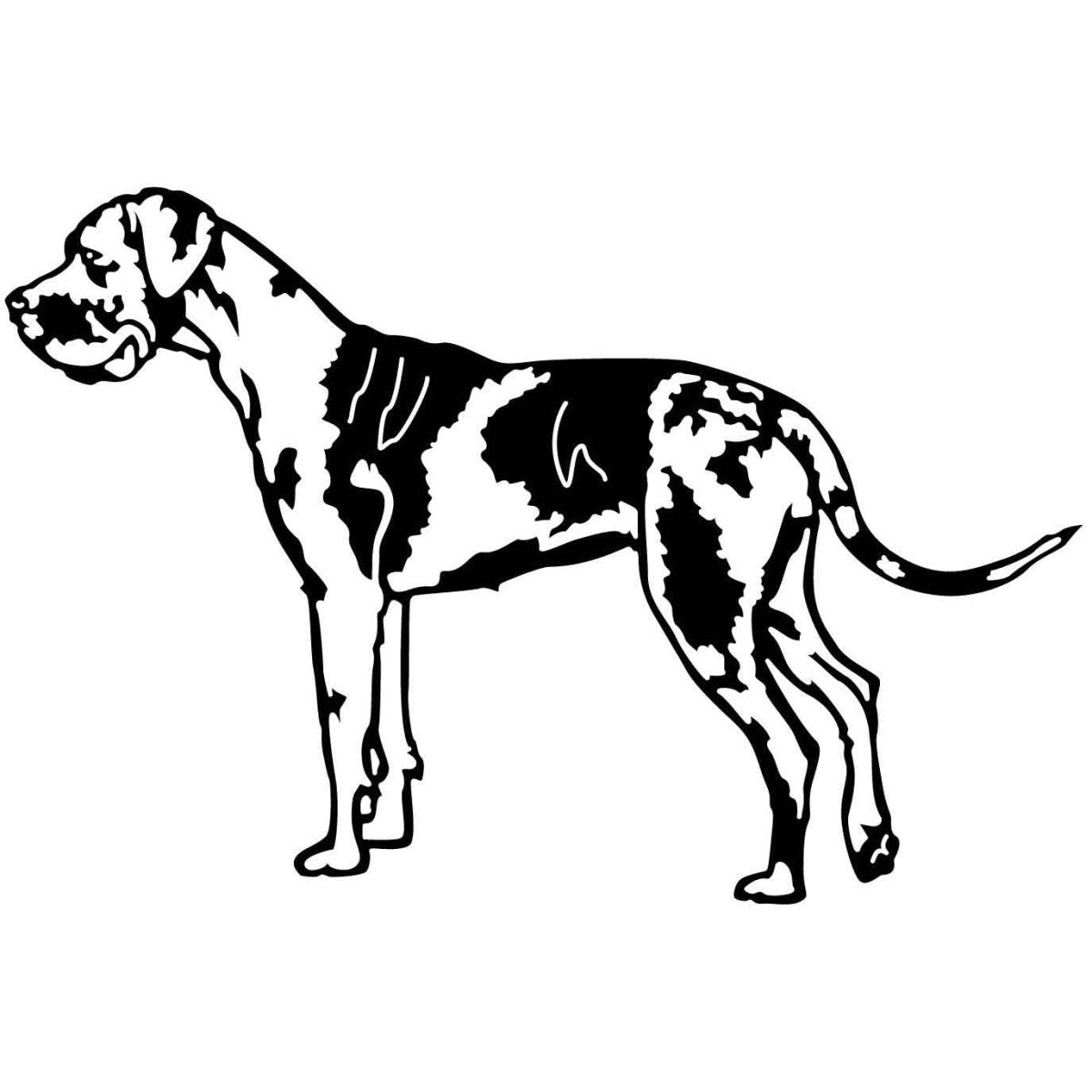 Great Dane Dogs 14