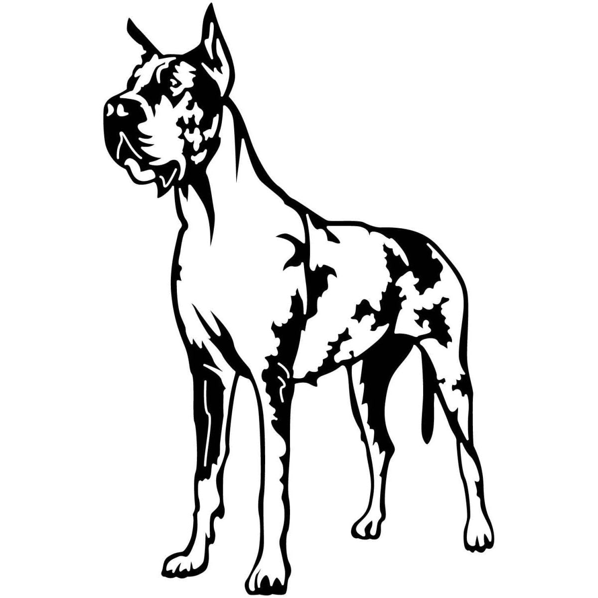 Great Dane Dogs 18