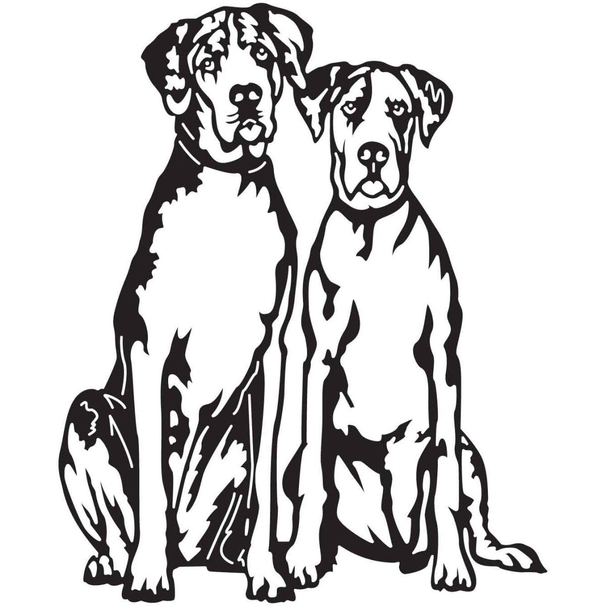 Great Dane Dogs 23