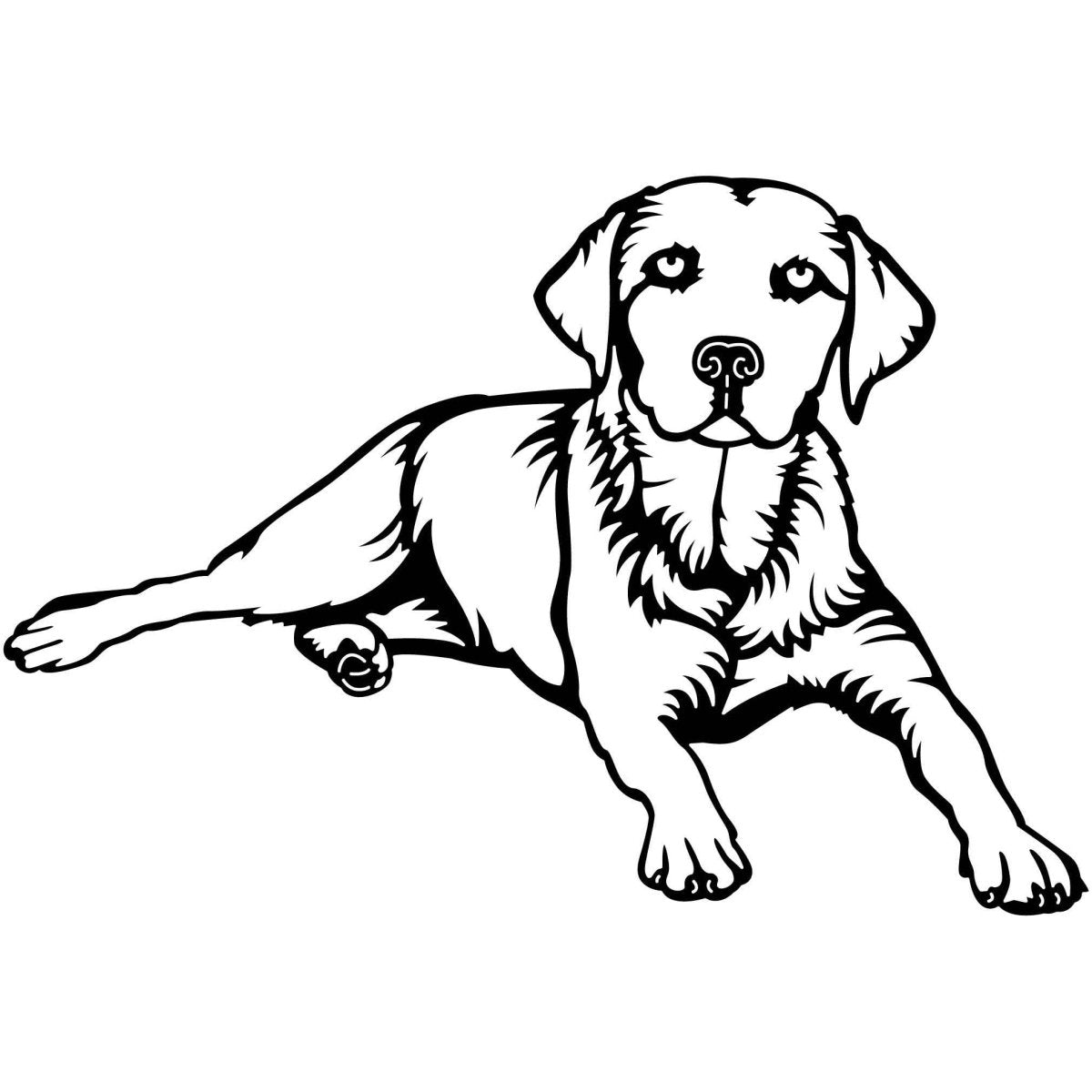 Labrador Retrievers Dogs 09