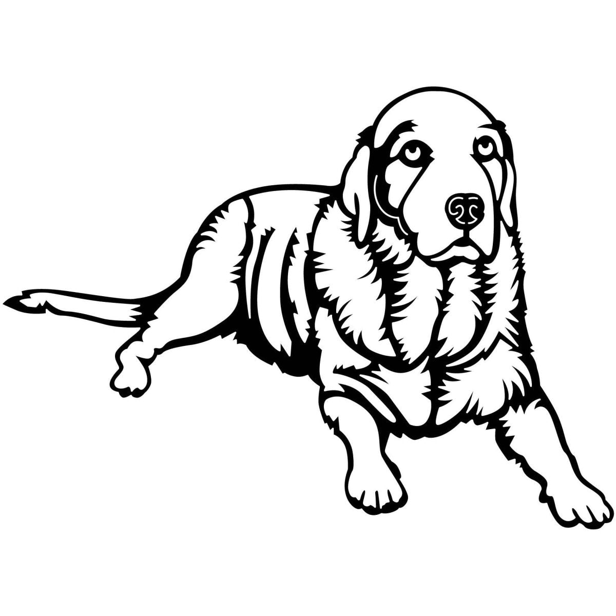 Labrador Retrievers Dogs 10